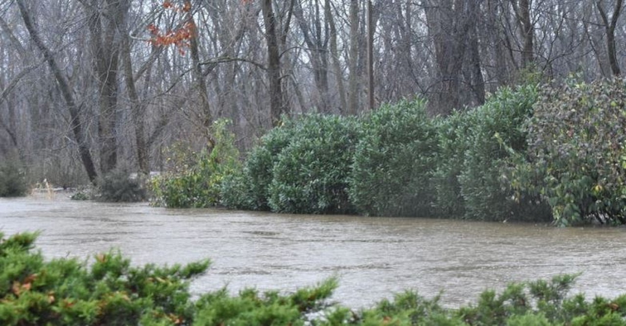 নিউইয়র্কে বন্যার পানিতে ভেসে গেলেন ৭৬ বছরের বৃদ্ধা
