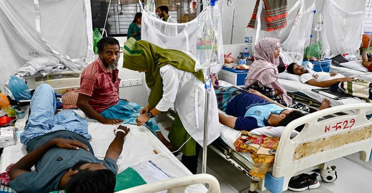 ডেঙ্গু কেড়ে নিল আরো ৭ প্রাণ
