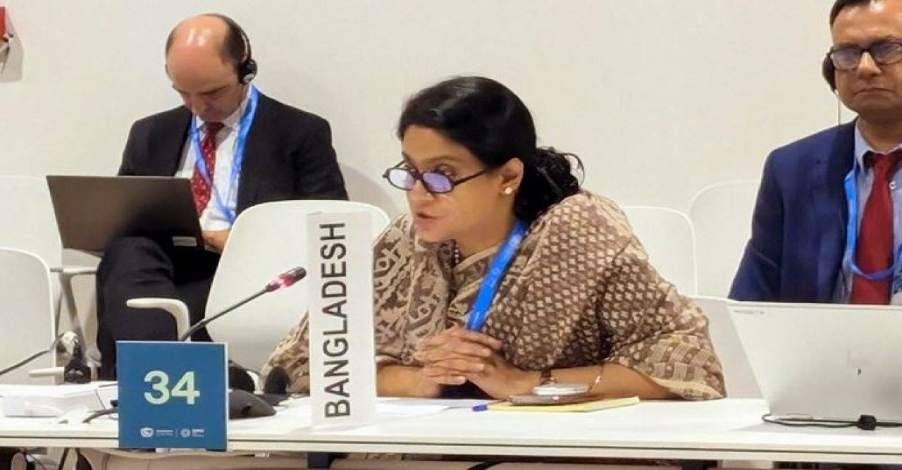 বাংলাদেশের অভিযোজন তহবিল বৃদ্ধির দাবি জানালেন জলবায়ু উপদেষ্টা