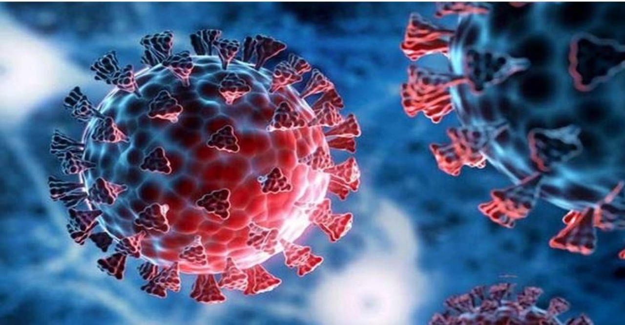 এক দিনে ২৮ জনের করোনা শনাক্ত