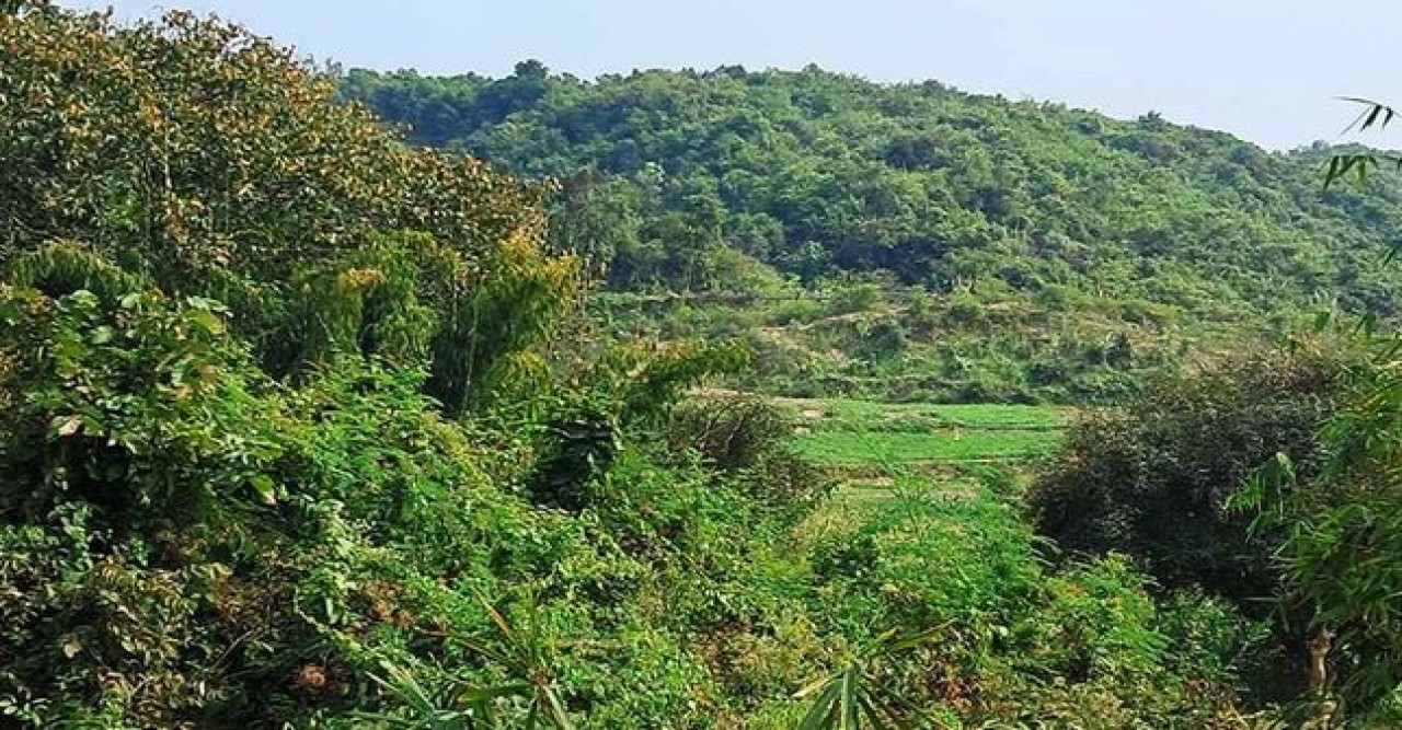 সীমান্তের ওপারে বোমা, মর্টার শেলের মুহুর্মুহু বিস্ফোরণ