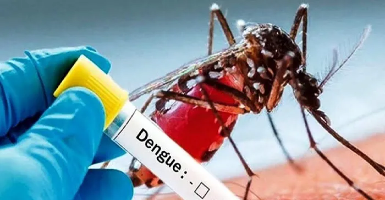 ২৪ ঘণ্টায় ১৪ ডেঙ্গু রোগী হাসপাতালে ভর্তি