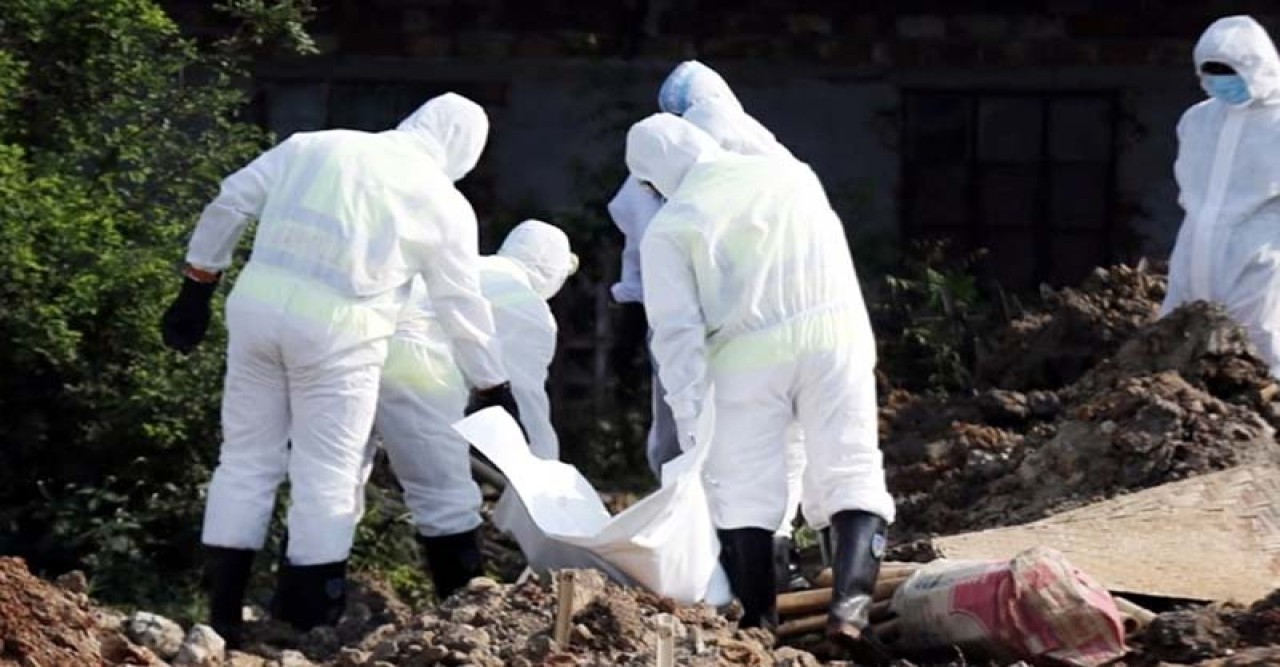 ২৪ ঘণ্টায় শনাক্ত বেড়ে ১৯০২, মৃত্যু ২