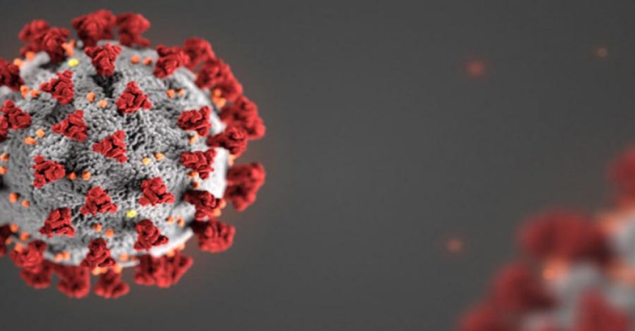 করোনায় মৃত্যুশূন্য দিনে শনাক্ত ৪