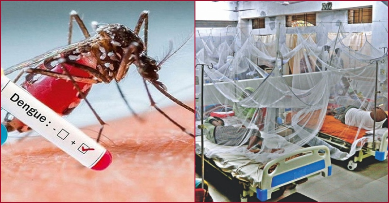 ডেঙ্গুতে হাসপাতালে ১১২ রোগী, চলতি বছরের সর্বোচ্চ