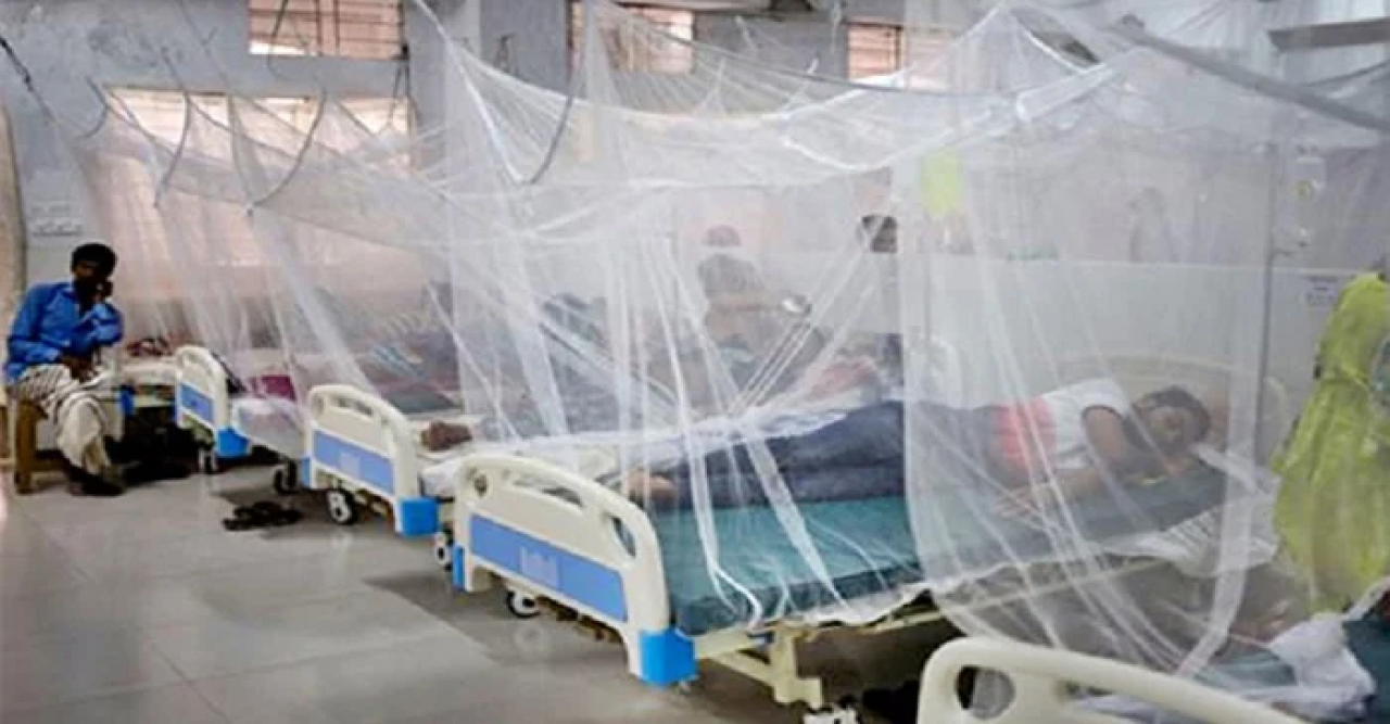 নতুন করে হাসপাতালে দুই শতাধিক ডেঙ্গু রোগী