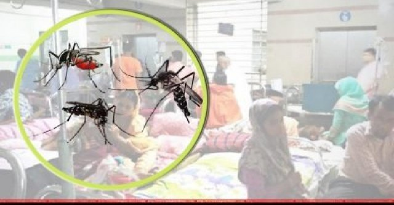 একদিনে রেকর্ড ১২৪৬ ডেঙ্গু রোগী হাসপাতালে, ৫ মৃত্যু