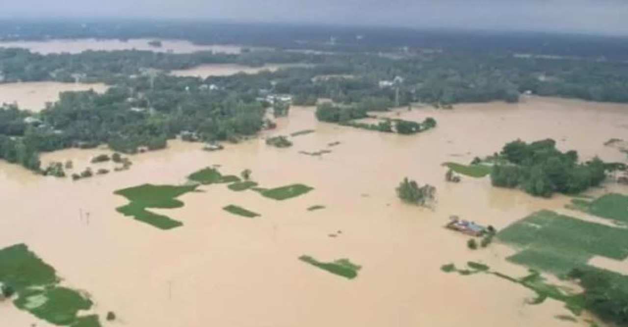 ২৪ জেলায় সাড়ে তিন লাখ হেক্টর জমির ফসলের ক্ষতি