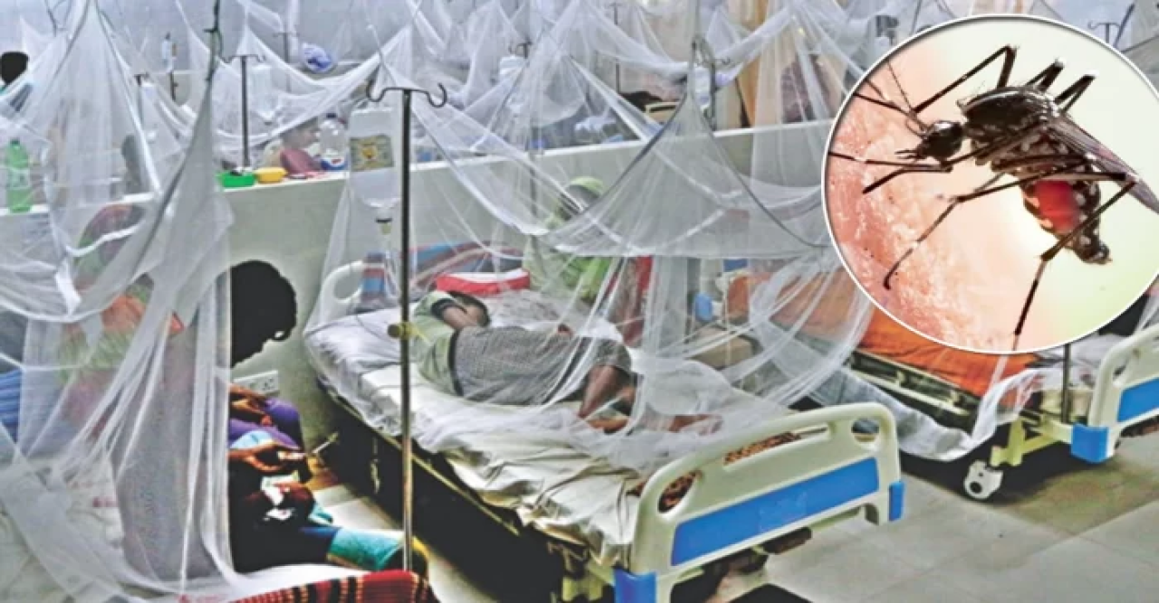 ডেঙ্গুতে এক দিনে ৯ জনের মৃত্যু