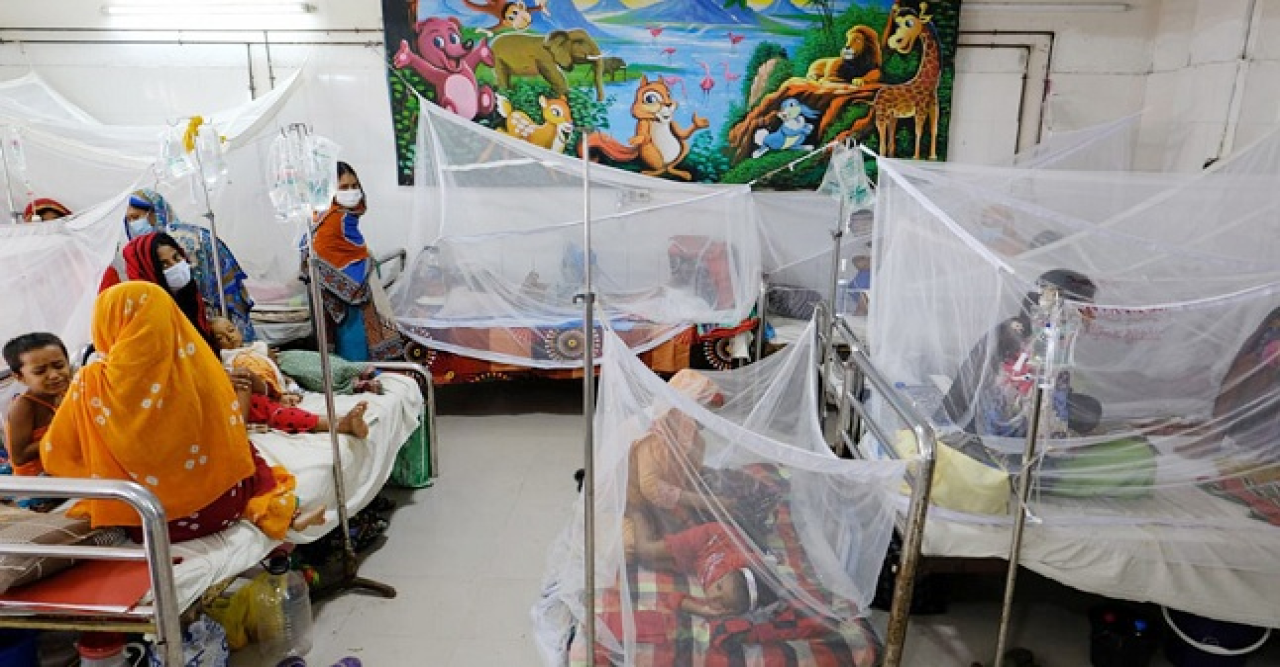 ডেঙ্গুতে এত মৃত্যু আগে দেখেনি দেশ