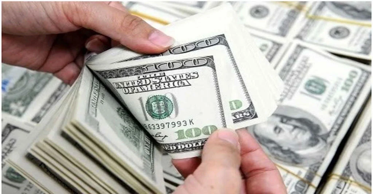 ২৮ দিনে প্রবাসী আয় এসেছে ১৭৪ কোটি ৯২ লাখ ডলার