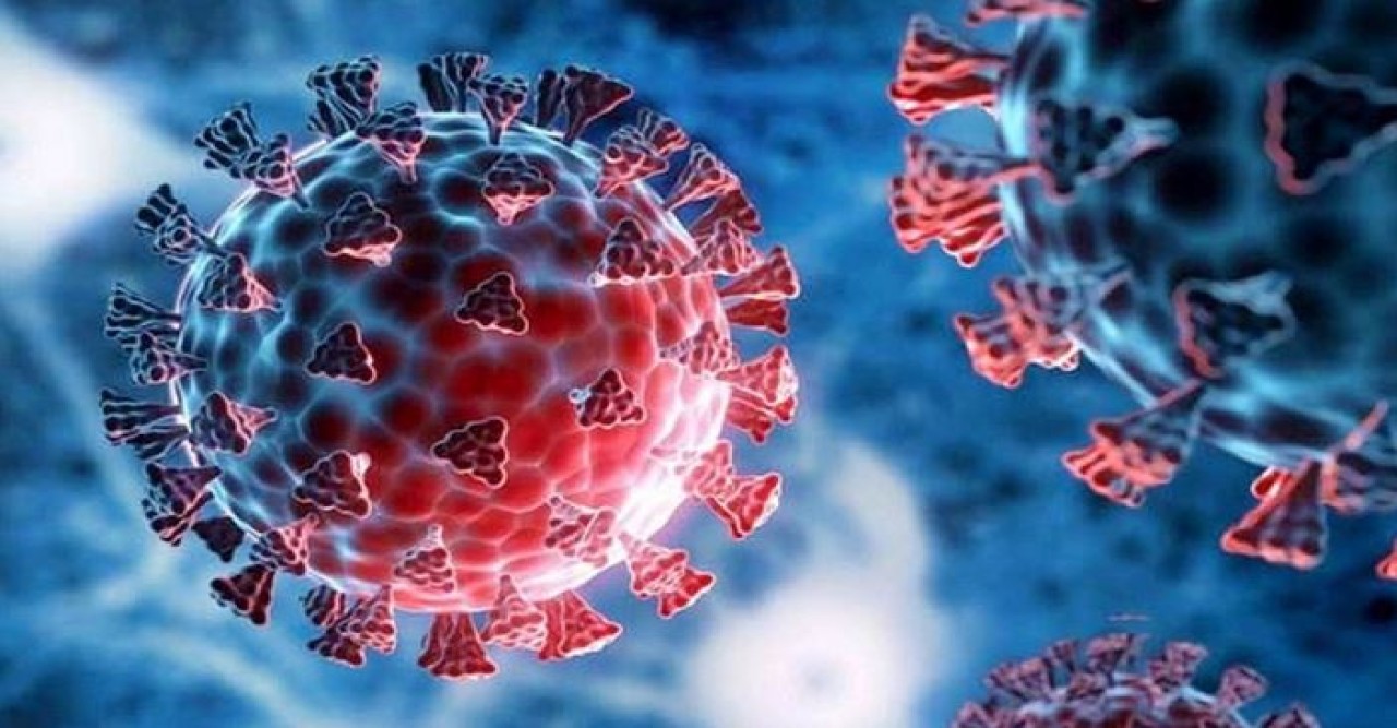 ২৪ ঘণ্টায় ১ জনের করোনা শনাক্ত