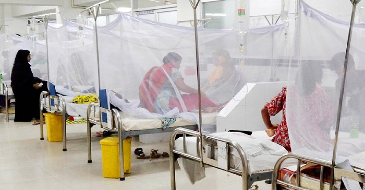 হাসপাতালে ভর্তি ডেঙ্গু রোগী লাখ ছাড়াল, আগস্টেই ৫০ হাজার