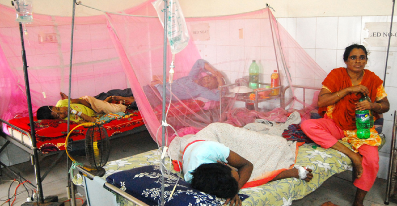 ডেঙ্গুতে প্রাণ গেল আরও ১২ জনের, হাসপাতালে ২৮২৩