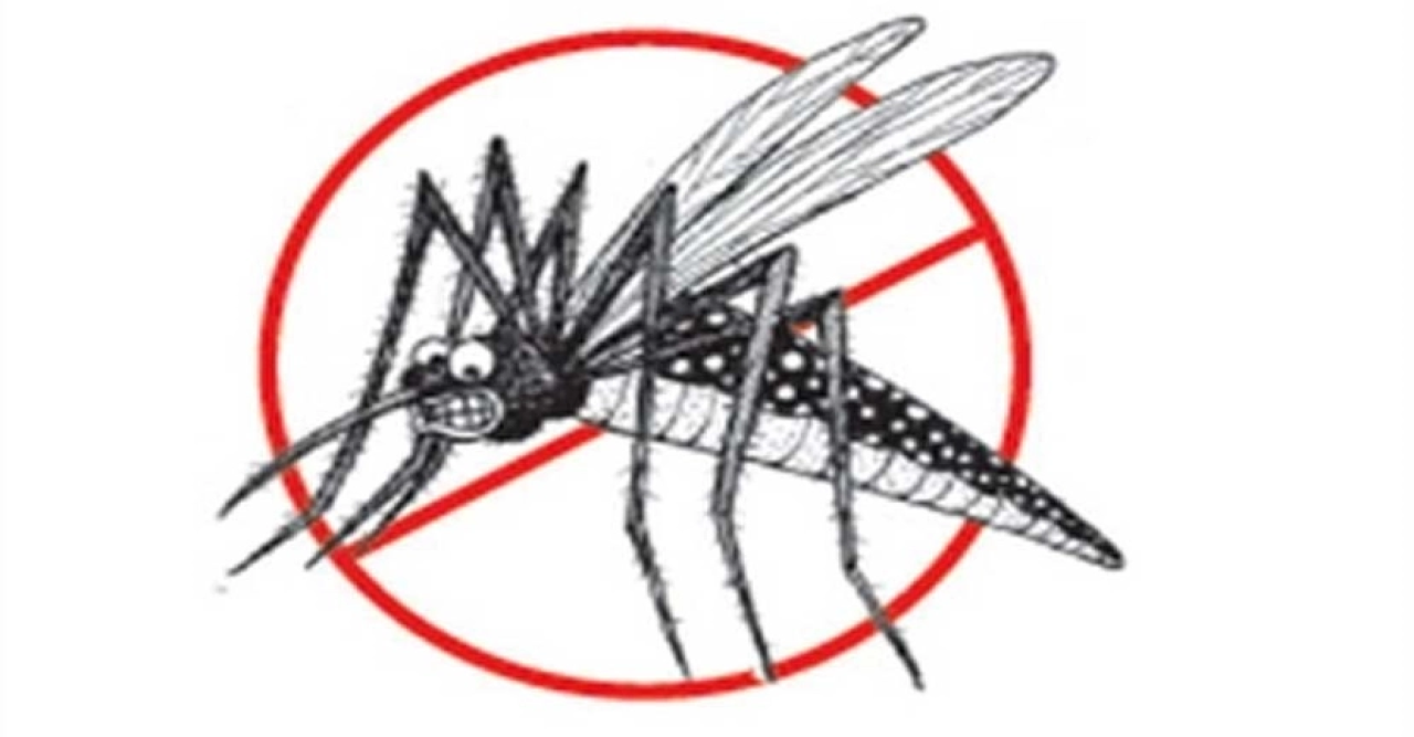 ডেঙ্গু : তিন কারণে ঢাকায় মৃত্যু বেশি, প্রকোপ বেশি বাইরের জেলায়