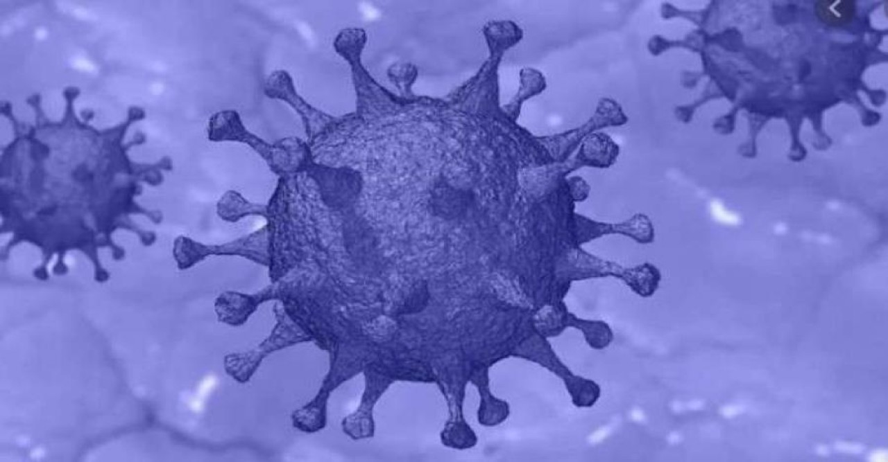 দেশে আরও ৭ জনের করোনা শনাক্ত