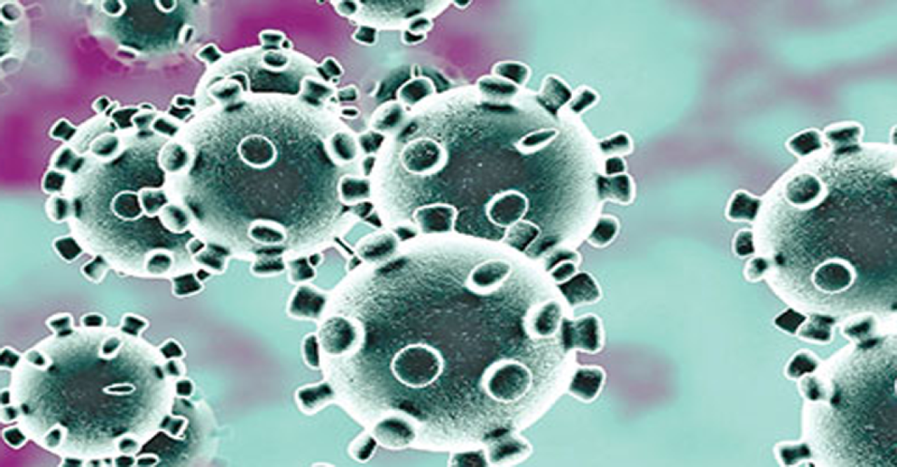 দেশে আরও ১৬ জনের করোনা শনাক্ত