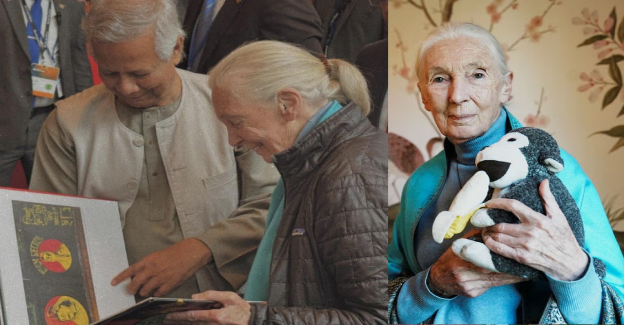 ড. জেন গুডলের মৃত্যুতে প্রধান উপদেষ্টার শোক