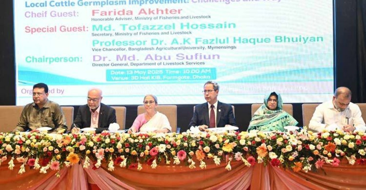 দেশীয় জাত হারিয়ে বিদেশি গরু দরকার নেই: প্রাণিসম্পদ উপদেষ্টা