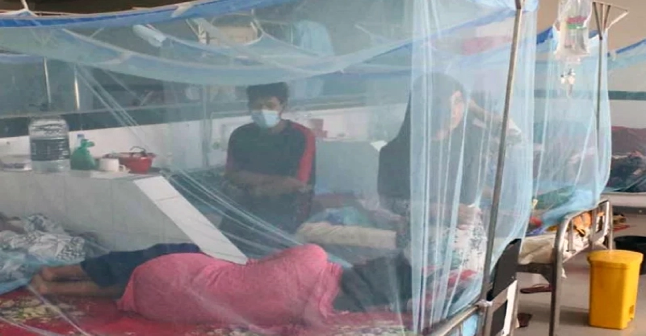 ডেঙ্গুতে ৩ জনের মৃত্যু, আক্রান্ত ৮৯৯