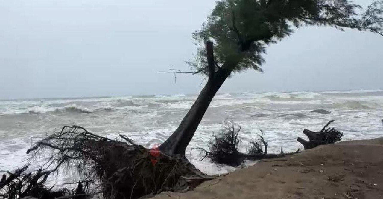 জলোচ্ছ্বাসে প্লাবিত হতে পারে ১৫ জেলা