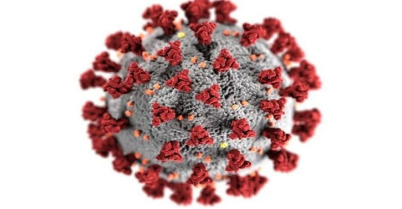 করোনায় শনাক্ত কমে ১০২, মৃত্যু এক জনের