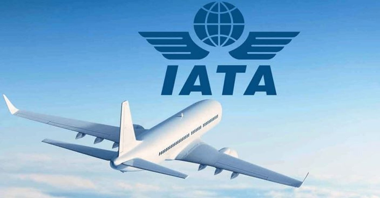 উড়োজাহাজের ভাড়া নিয়ন্ত্রণে বাংলাদেশকে আয়াটার সতর্কতা