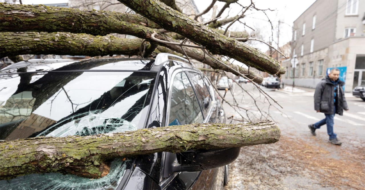 কানাডায় ব্যাপক তুষারঝড়ে মৃত ২, বিদ্যুৎবিহীন ১১ লাখ মানুষ