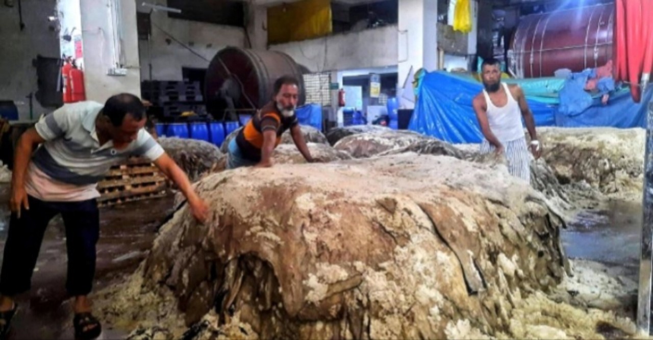 সাভারের শিল্পনগরে কোরবানির চামড়া, বর্জ্য ব্যবস্থাপনা নিয়ে শঙ্কা