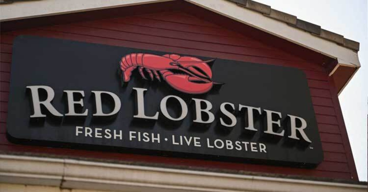 দেউলিয়া হয়ে গেলো বিশ্বের বৃহত্তম সিফুড রেস্তোরাঁ ‘রেড লবস্টার’