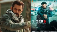 ‘তৈরি হয়ে যাও’, টাইগার সালমানের নতুন বার্তা