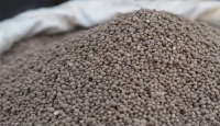 সৌদি থেকে ৪০ হাজার টন সার কিনছে সরকার