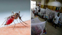 হাসপাতাল ডেঙ্গু রোগীতে ভরে গেছে, এক দিনে সর্বোচ্চ ভর্তি ৮২০