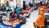 ২৪ ঘণ্টায় ডেঙ্গুতে ১১ মৃত্যু, হাসপাতালে ২৯৫৬