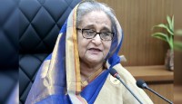 বাজেটকে মোটেই উচ্চাভিলাষী মনে করি না : প্রধানমন্ত্রী